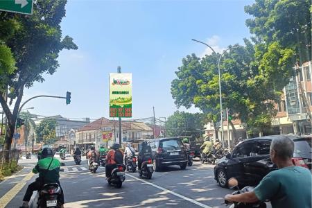 TNGST41